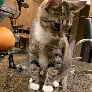 Meet your Posher, Sierra